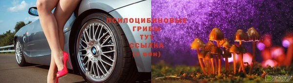 МДМА Заводоуковск