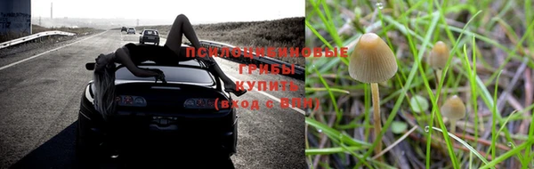 дурь Заволжск
