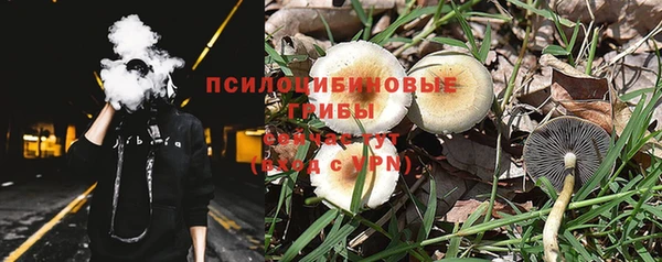 МДМА Заводоуковск